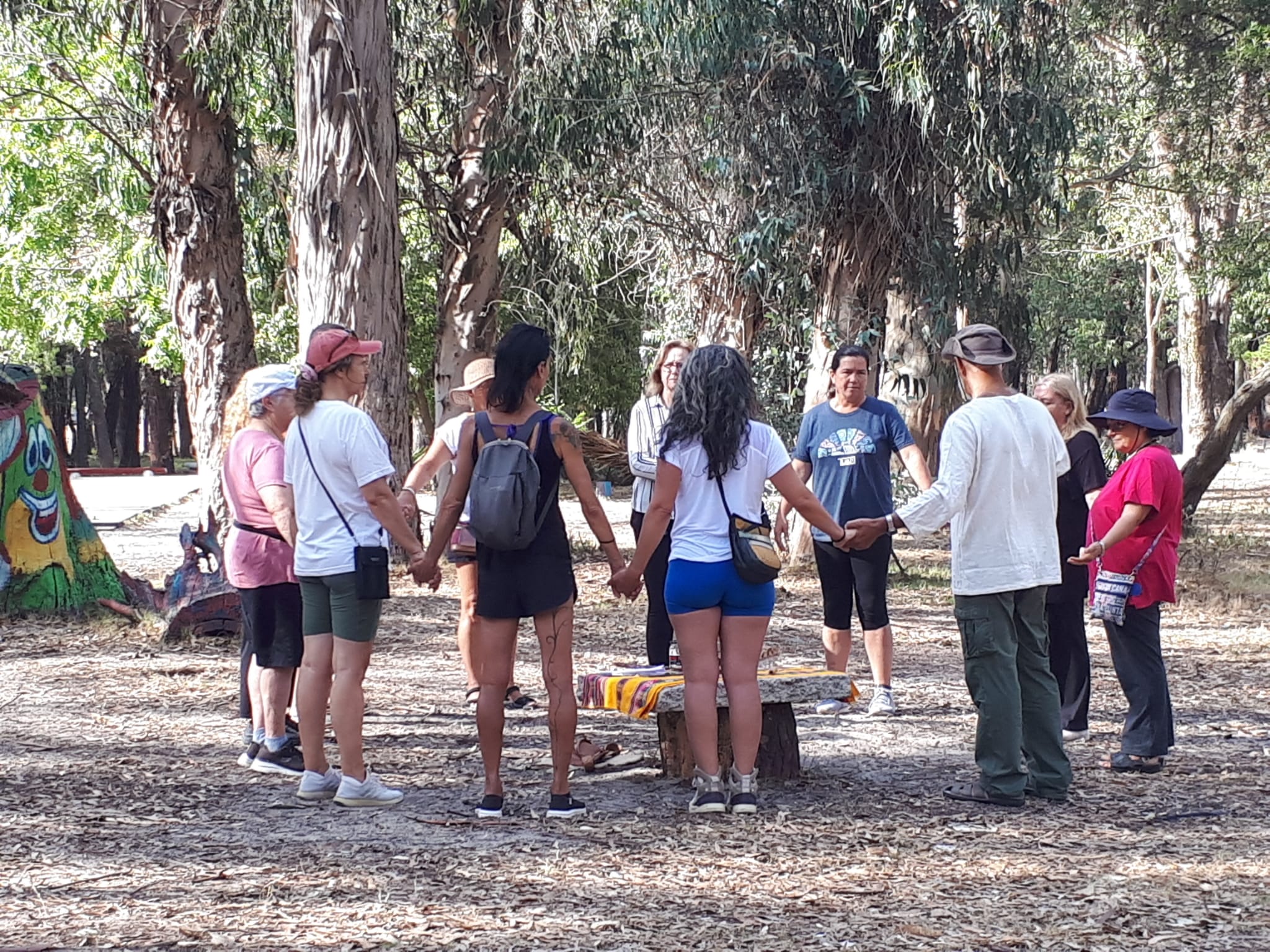 Continúan las actividades saludables del programa Terapia en el bosque en el parque Roosevelt Continúan las actividades saludables del programa Terapia en el bosque en el parque Roosevelt