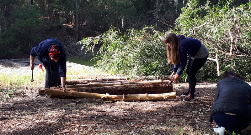 Jornada participativa de limpieza del lago del parque Roosevelt: voluntarios participan de la limpieza del lago.