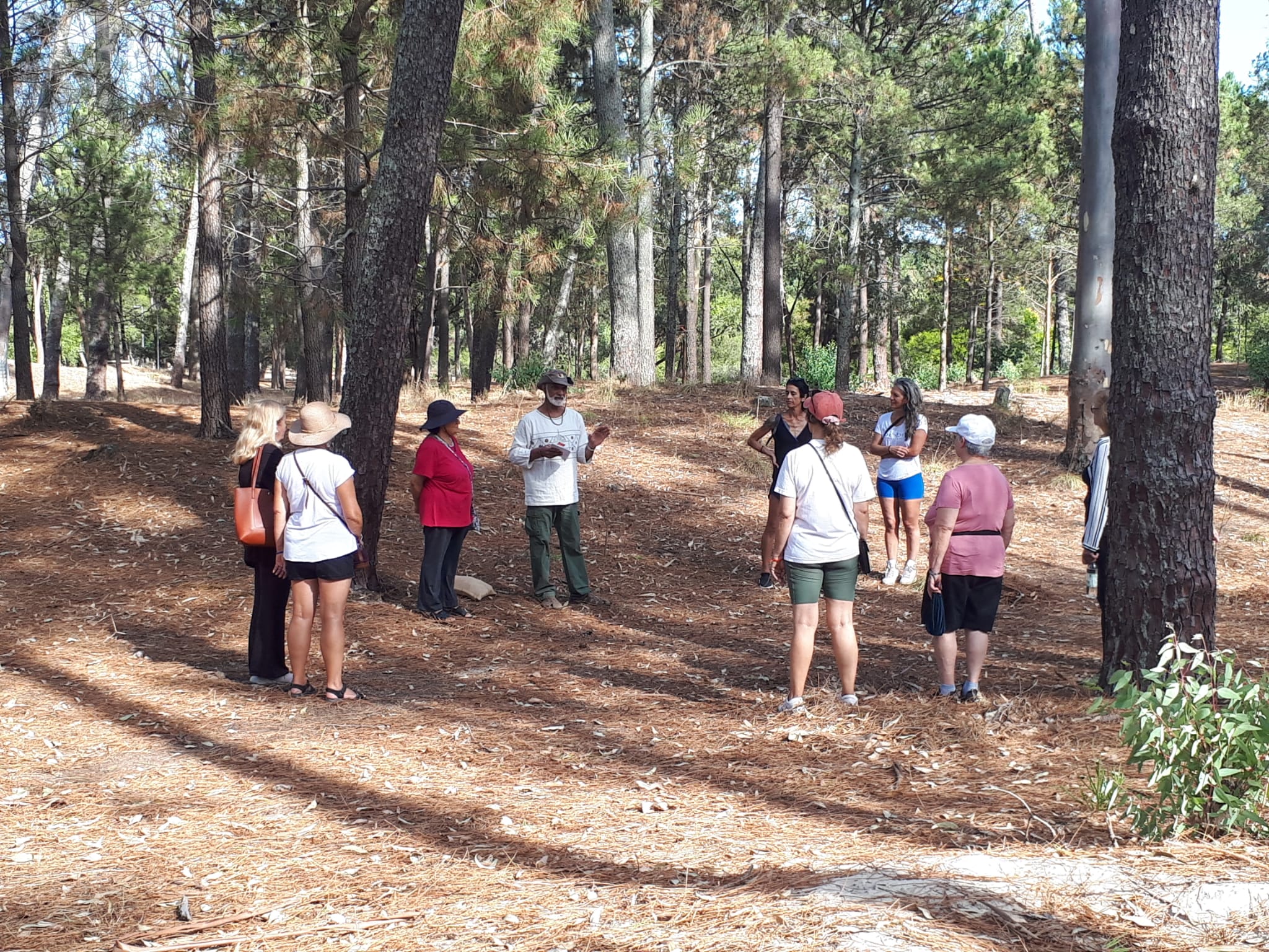 Continúan las actividades saludables del programa Terapia en el bosque en el parque Roosevelt Continúan las actividades saludables del programa Terapia en el bosque en el parque Roosevelt