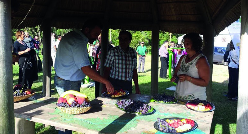 Sociedad de Fomento Rural - Los Cerrillos