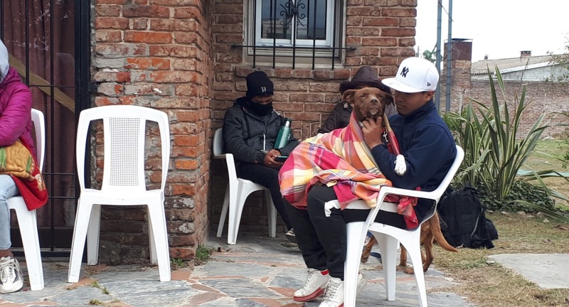 Jornadas de castración gratuitas de perros y perras en el Municipio de Paso Carrasco Jornadas de castración gratuitas de perros y perras en el Municipio de Paso Carrasco