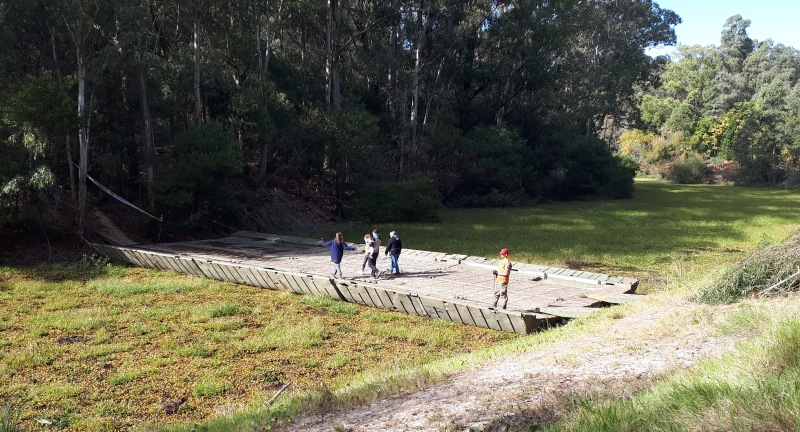 Jornada participativa de limpieza del lago del parque Roosevelt: voluntarios participan de la limpieza del lago.