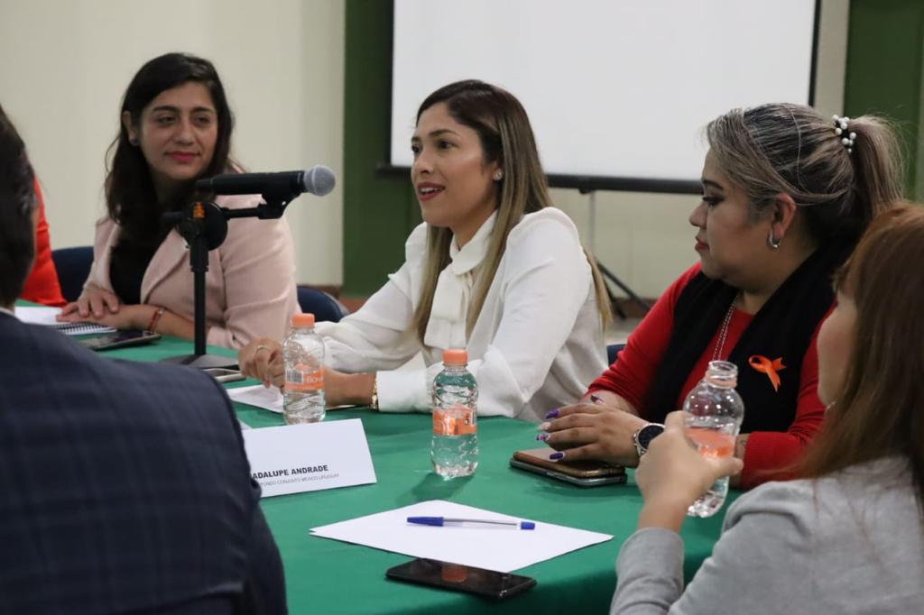 Comuna Joven participó del lanzamiento del proyecto de cooperación internacional #SexualidadSinFakes en la ciudad de Atizapán de Zaragoza, México 