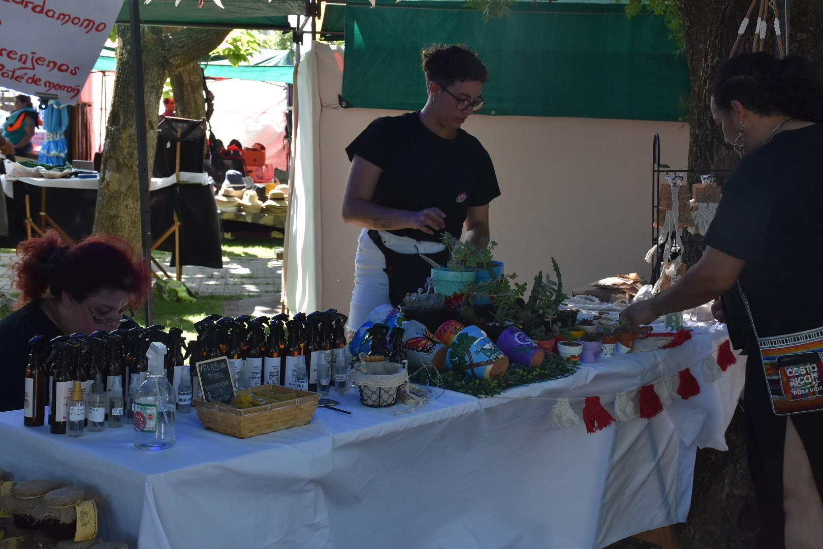 8vo. Festival Nacional de la Empanada y el Vino