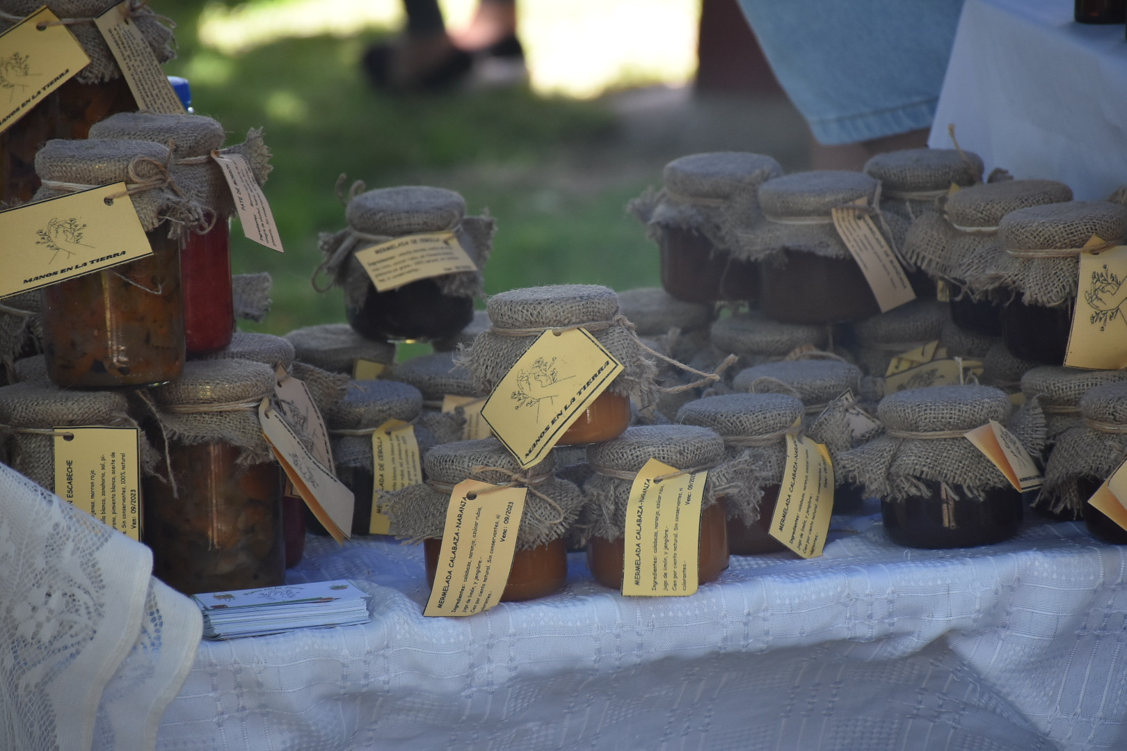 8vo. Festival Nacional de la Empanada y el Vino