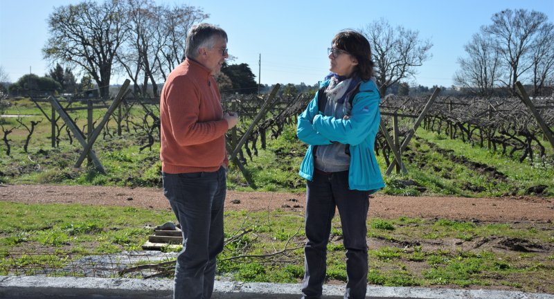 Avanzan las obras de la nueva sede del Museo de la Uva y el Vino Avanzan las obras de la nueva sede del Museo de la Uva y el Vino