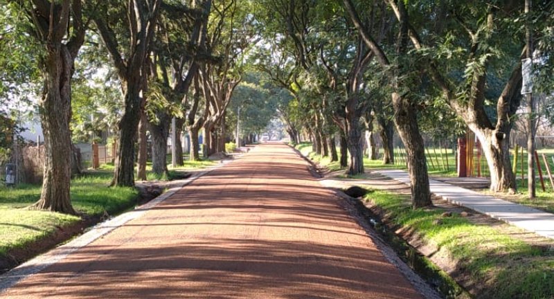 Calles Dora Pumar y Los Olivos