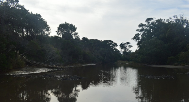 Canelones presentará solicitud de ingreso al Sistema Departamental de Áreas de Protección Ambiental para la zona de la laguna Blanca