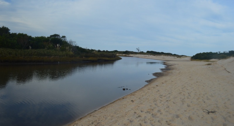 Canelones presentará solicitud de ingreso al Sistema Departamental de Áreas de Protección Ambiental para la zona de la laguna Blanca