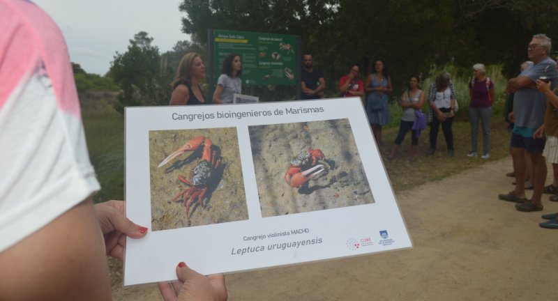 En el Día de los Humedales, Canelones invitó a la comunidad a recorrerlos