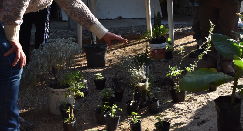 Se llevó a cabo el cierre del curso de promotores de huertas educativas y comunitarias: Cultivar para transformar