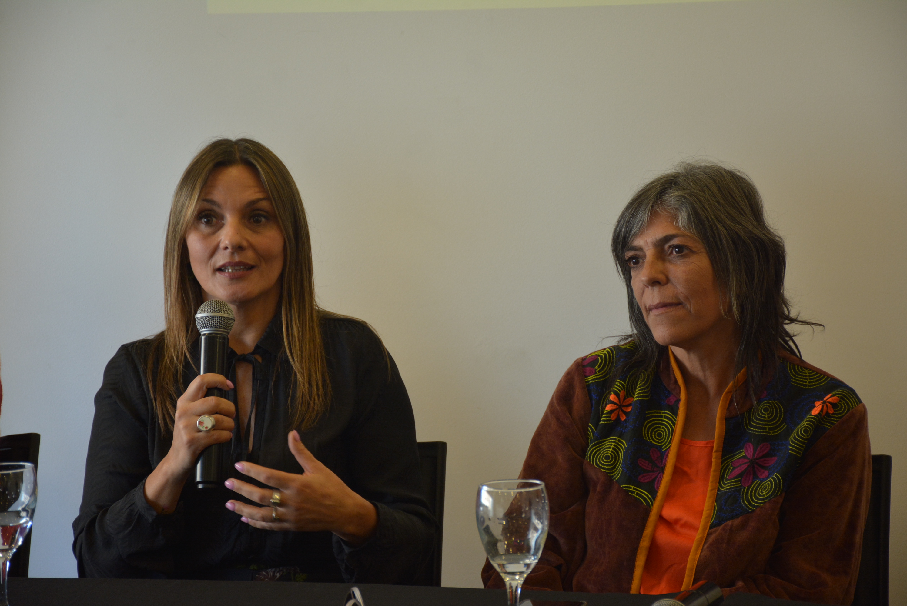 Se realizó el lanzamiento del programa El libro que faltaba para promover la lectura de libros nacionales en bibliotecas de todo el departamento Se realizó el lanzamiento del programa El libro que faltaba para promover la lectura de libros nacionales en bibliotecas de todo el departamento