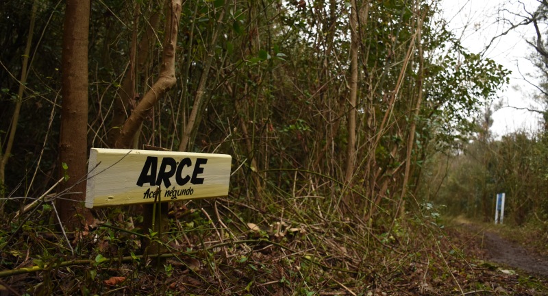 Inauguración de Sendero de Intrepretación Ambiental Canelón Chico en el Parque Artigas de la capital canaria.