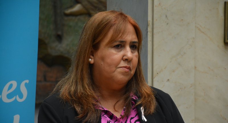 Directora de Salud, Lic. Aracelis Delgado, en el lanzamiento de agenda de actividades en el marco del mes de la prevención del cáncer de mama Directora de Salud, Lic. Aracelis Delgado, en el lanzamiento de agenda de actividades en el marco del mes de la prevención del cáncer de mama