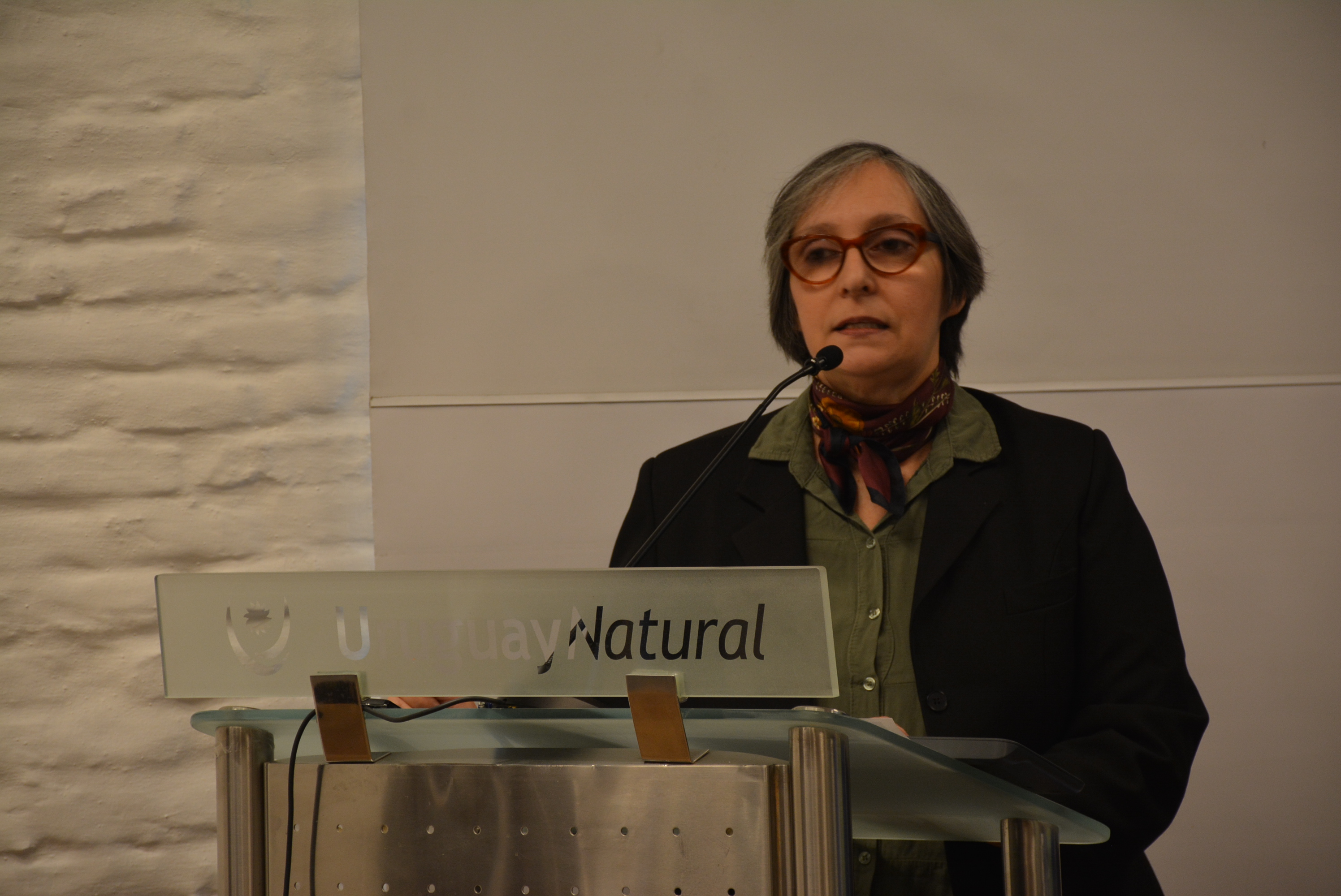 La referente de Enoturismo del Ministerio de Turismo, Alejandra Cabrera, en el lanzamiento de la 1ª edición de la Fiesta de la Capital de la Uva y el Vino La referente de Enoturismo del Ministerio de Turismo, Alejandra Cabrera, en el lanzamiento de la 1ª edición de la Fiesta de la Capital de la Uva y el Vino