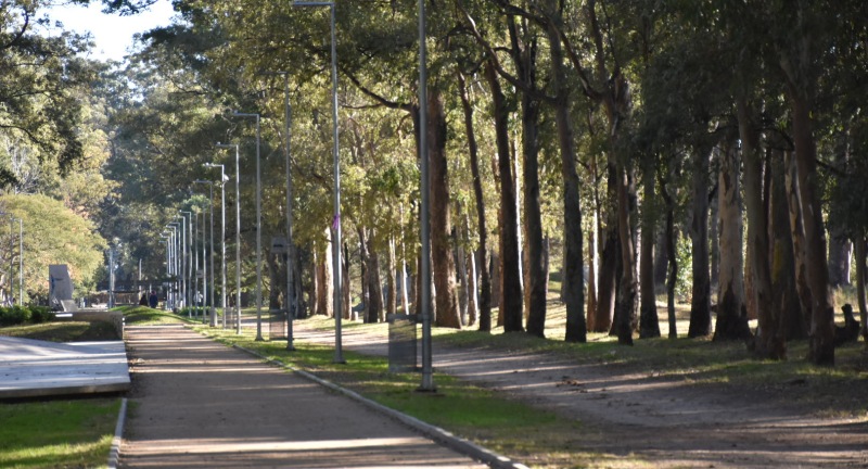 Paseo Pelouse Racine Parque Roosevelt Paseo Pelouse Racine Parque Roosevelt