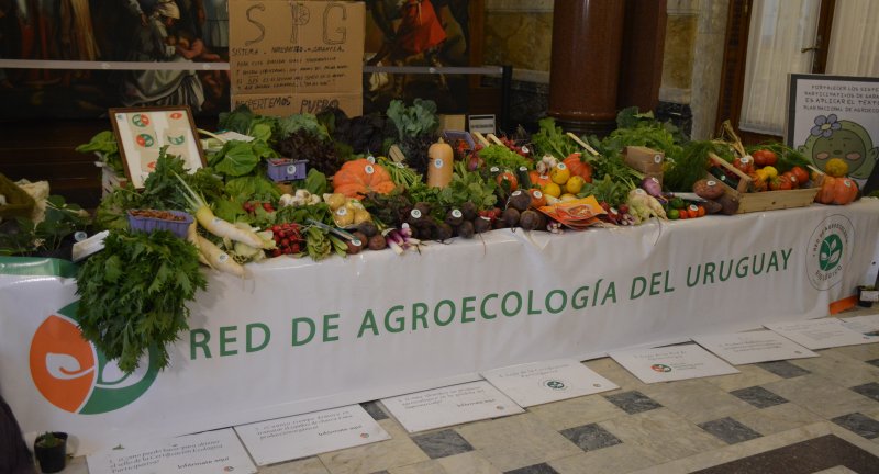 Lanzamiento del Plan Nacional de Agroecología en el salón de los Pasos Perdidos del Palacio Legislativo. Lanzamiento del Plan Nacional de Agroecología en el salón de los Pasos Perdidos del Palacio Legislativo.