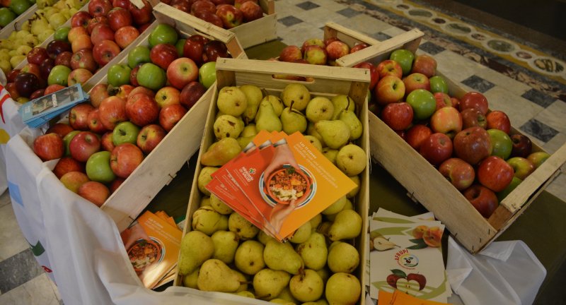 Lanzamiento del Plan Nacional de Agroecología en el salón de los Pasos Perdidos del Palacio Legislativo. Lanzamiento del Plan Nacional de Agroecología en el salón de los Pasos Perdidos del Palacio Legislativo.