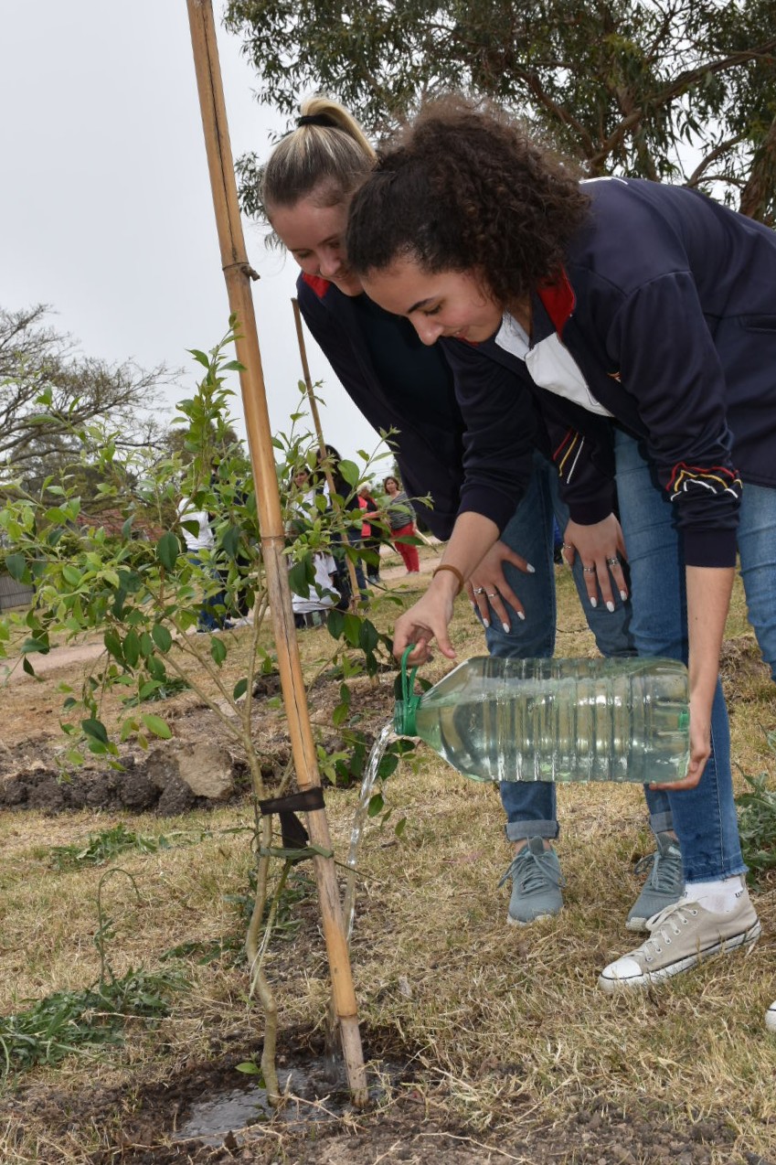 Estudiantes del Colegio Nacional José Pedro Varela participan de plantación de árboles nativos en Park Way, Lagomar