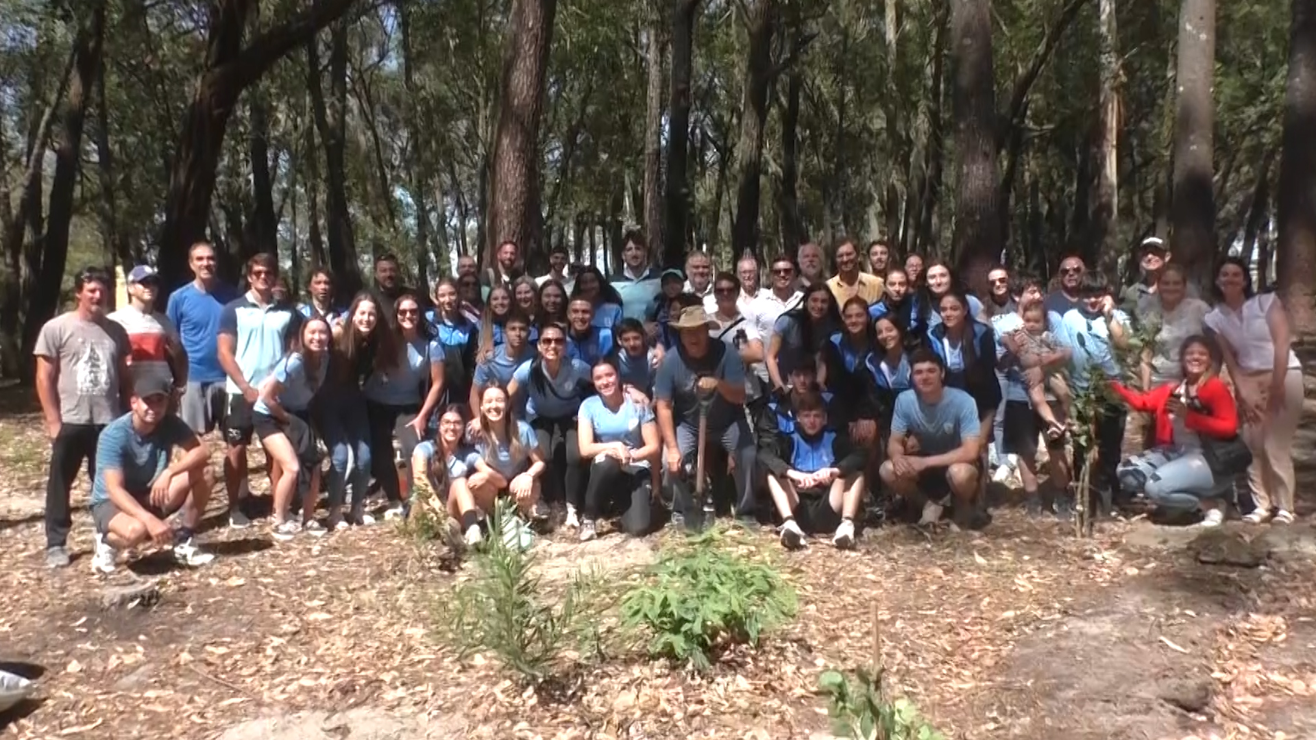 Se forestó parte del parque Roosevelt con flora autóctona Se forestó parte del parque Roosevelt con flora autóctona
