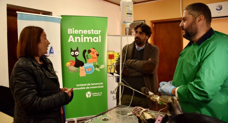 Intendente en Funciones de Canelones, Marcelo Metediera, en jornada de castración en el Municipio de San Ramón Intendente en Funciones de Canelones, Marcelo Metediera, en jornada de castración en el Municipio de San Ramón