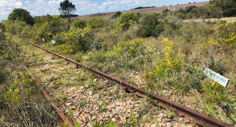 En el Día del Patrimonio, Canelones presentó su patrimonio natural En el Día del Patrimonio, Canelones presentó su patrimonio natural