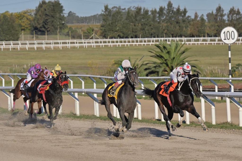 Orsi estuvo presente en los festejos de los 10 años de la reapertura del Hipódromo de Las Piedras Orsi estuvo presente en los festejos de los 10 años de la reapertura del Hipódromo de Las Piedras