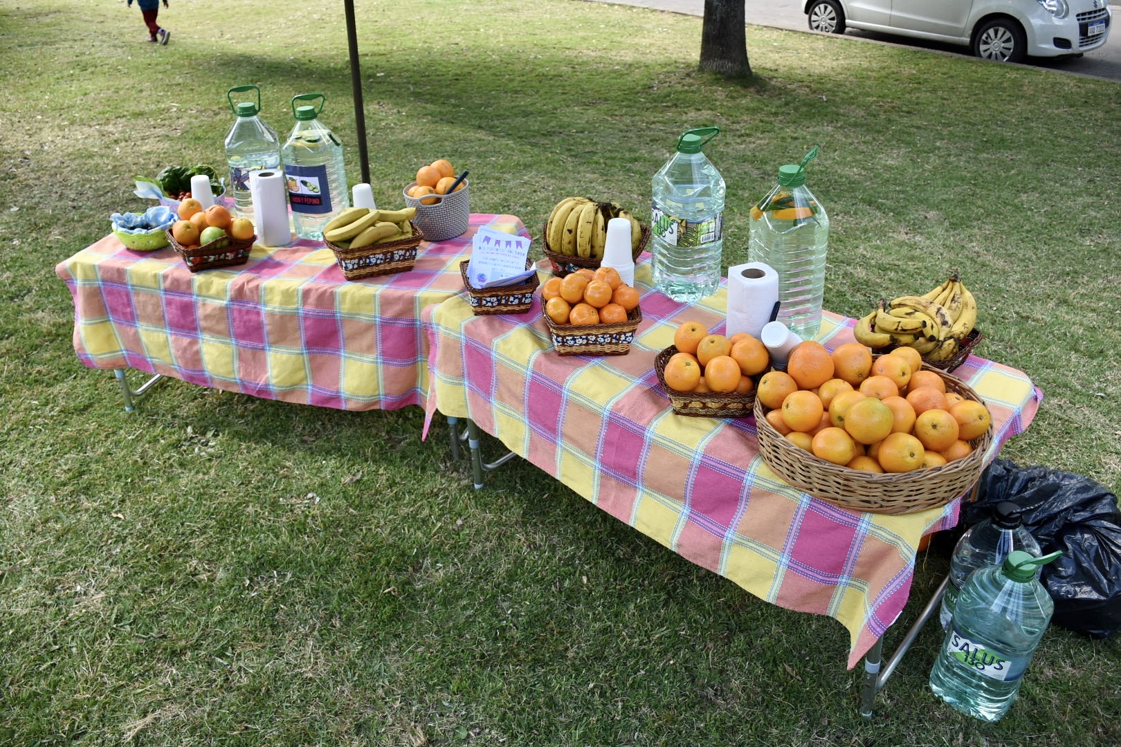 Taller de cocina natural y de alimentación saludable para toda la familia en el Prado – Parque Cultural de la ciudad de Canelones Taller de cocina natural y de alimentación saludable para toda la familia en el Prado – Parque Cultural de la ciudad de Canelones