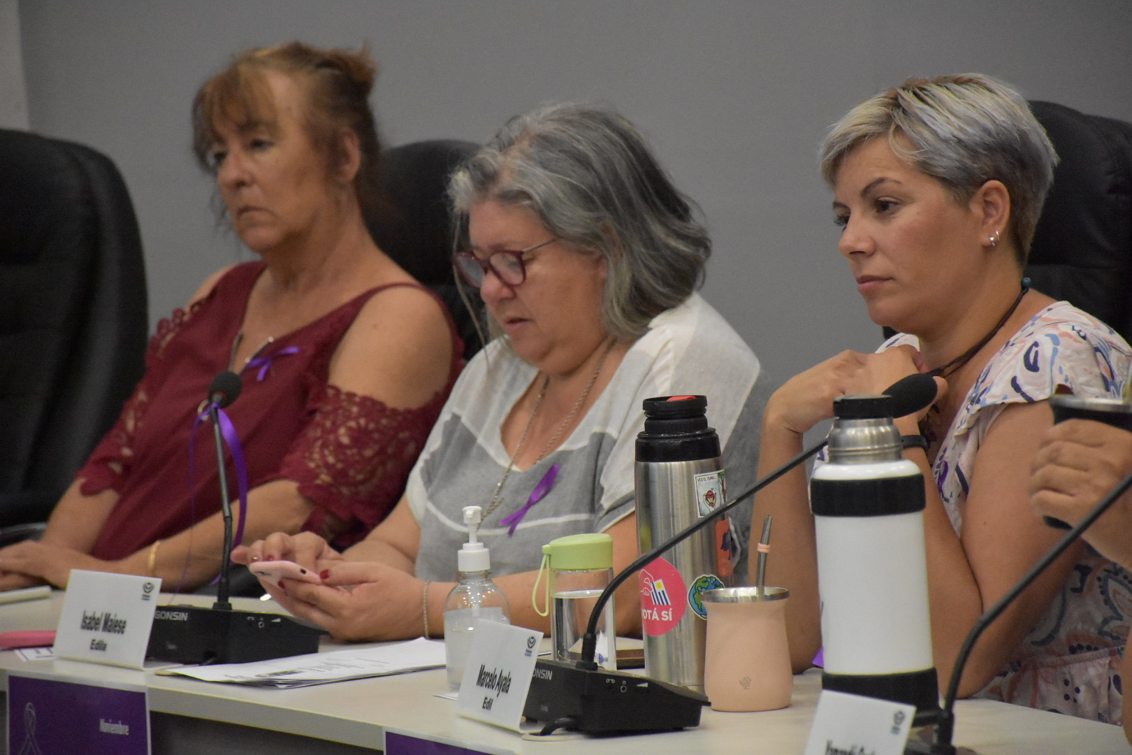Sesión extraordinaria en la Junta Departamental de Canelones, en el marco del Mes Internacional para la Eliminación de la Violencia Contra las Mujeres Sesión extraordinaria en la Junta Departamental de Canelones, en el marco del Mes Internacional para la Eliminación de la Violencia Contra las Mujeres