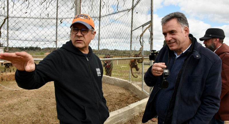 Intendente Orsi visitó la chacra de Animales Sin Hogar Intendente Orsi visitó la chacra de Animales Sin Hogar