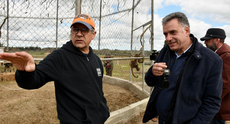 Intendente Orsi visitó la chacra de Animales Sin Hogar 