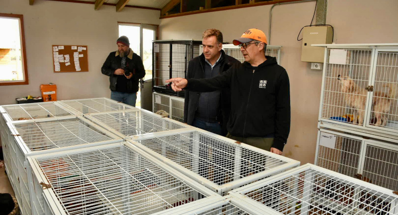 Intendente Orsi visitó la chacra de Animales Sin Hogar Intendente Orsi visitó la chacra de Animales Sin Hogar