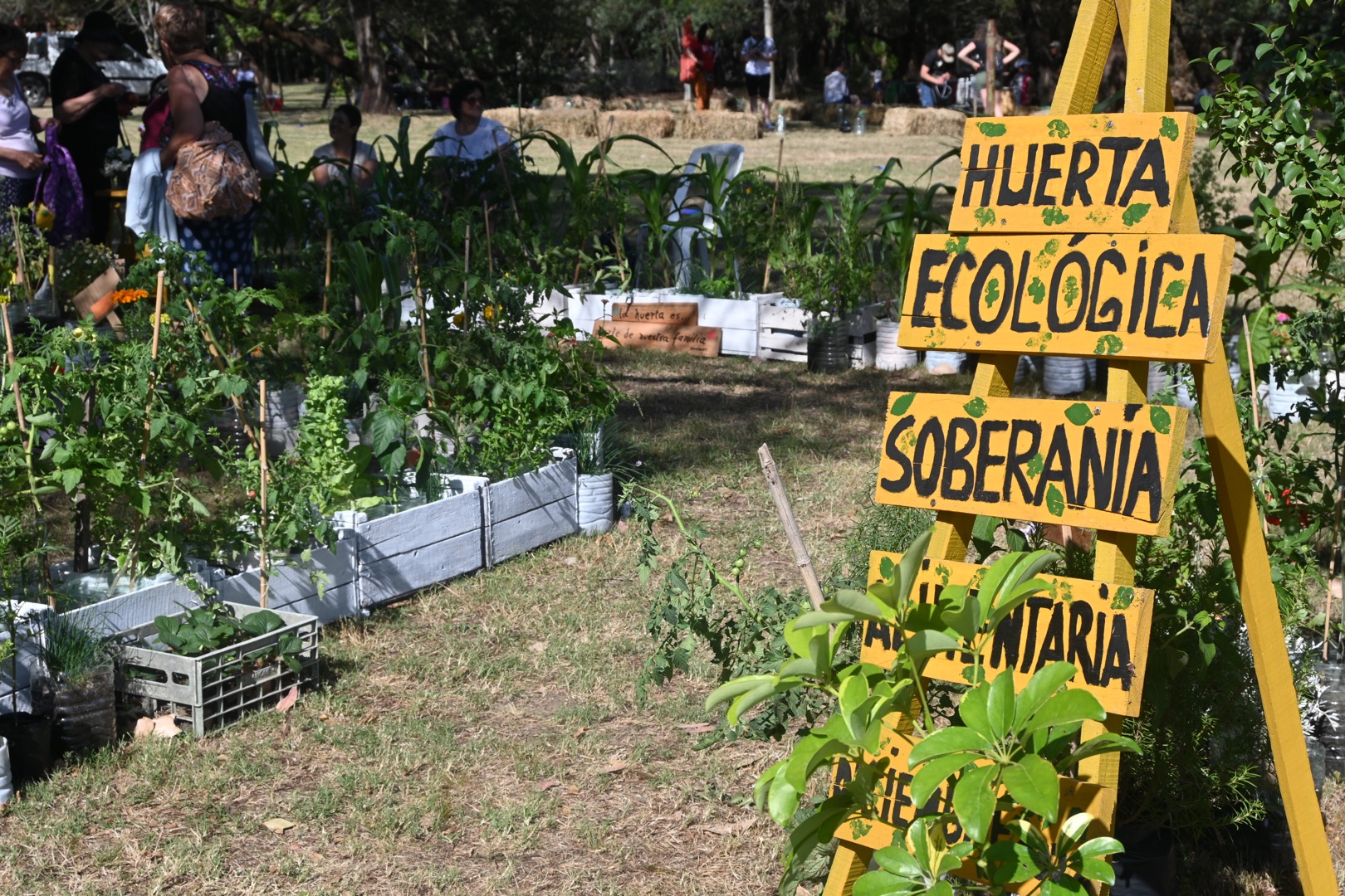 Encuentro de las Artes 2022: los derechos que nos unen Encuentro de las Artes 2022: los derechos que nos unen