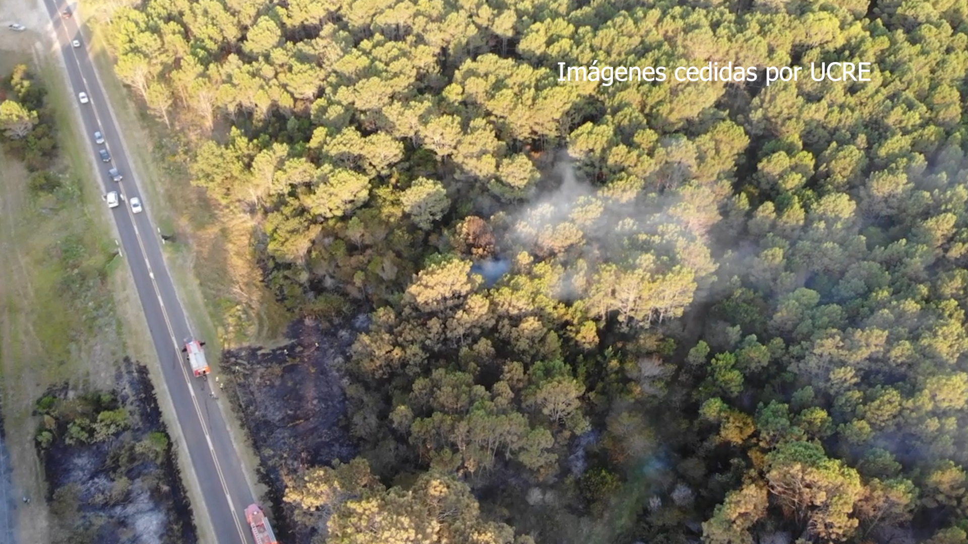 INCENDIO FORESTAL INCENDIO FORESTAL