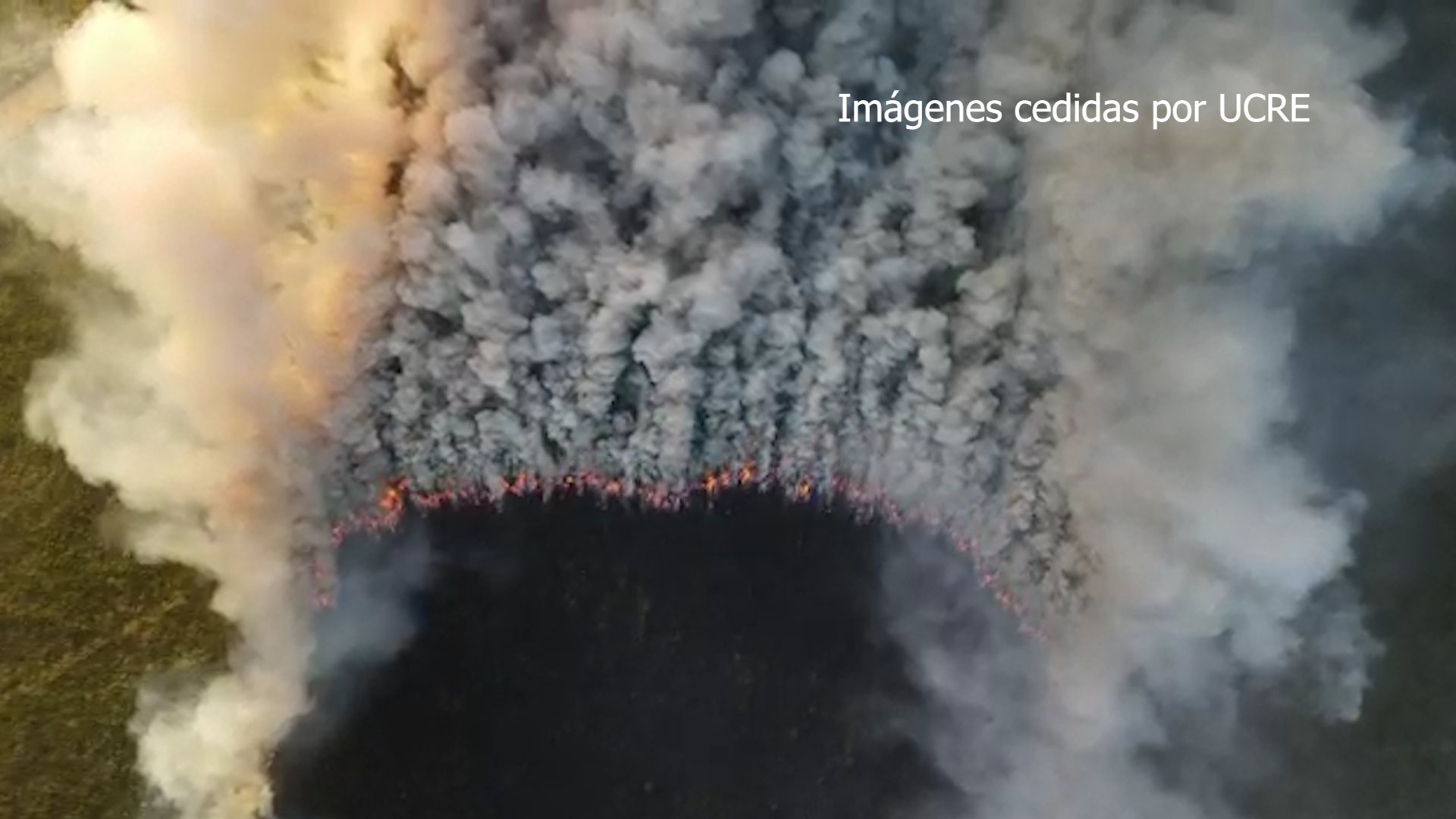 INCENDIO FORESTAL INCENDIO FORESTAL