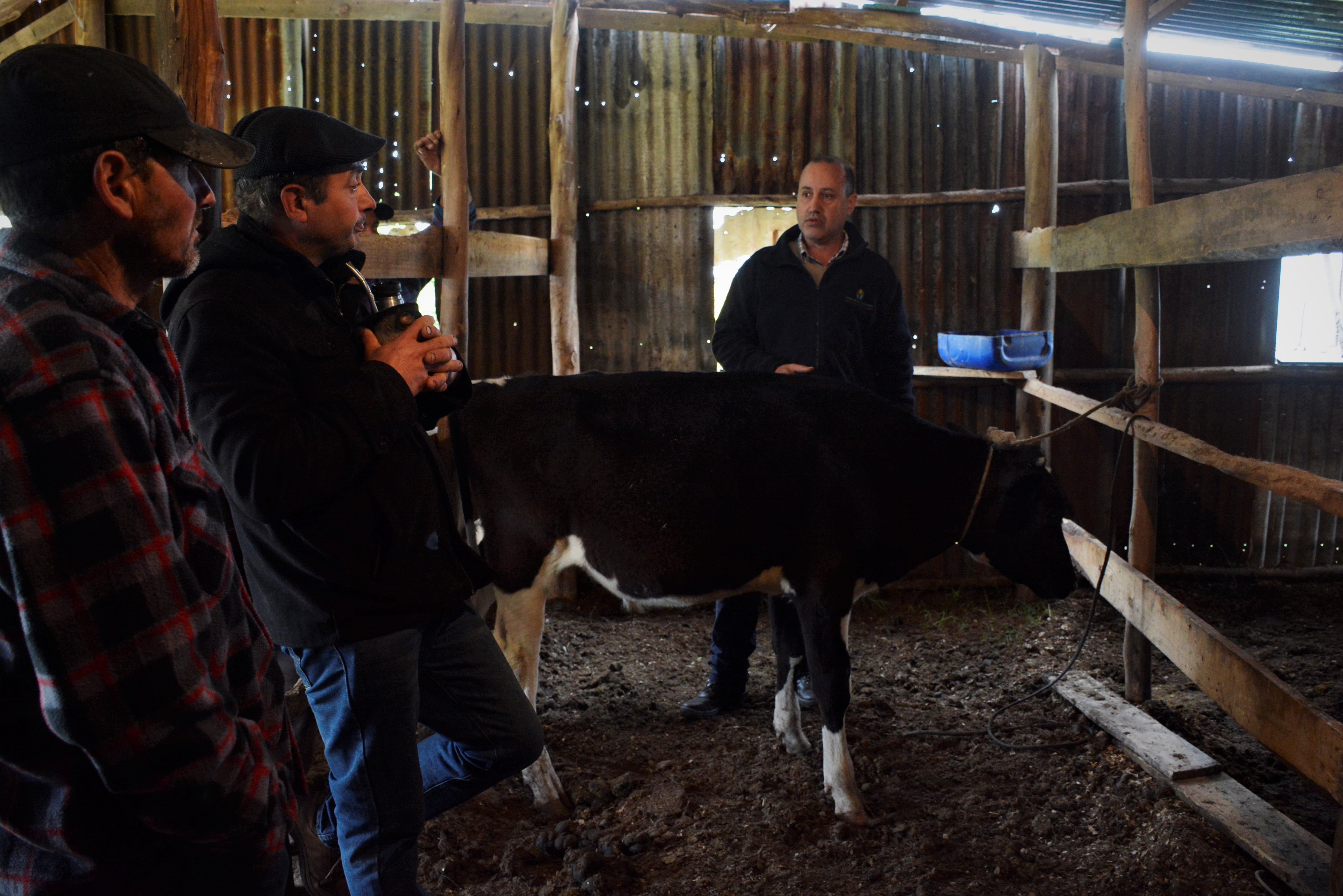 Jornada de trabajo con productores rurales de Canelón Chico