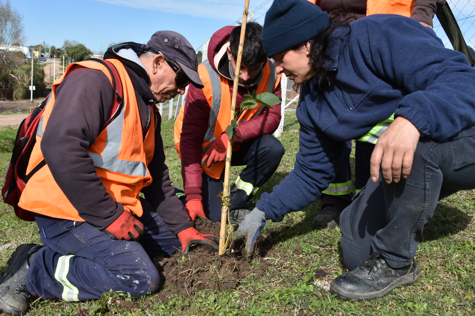 Jornales solidarios colaboran en la plantación de árboles en el marco del Plan de Forestación departamental Jornales solidarios colaboran en la plantación de árboles en el marco del Plan de Forestación departamental