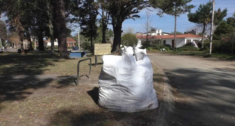 Municipio de La Floresta implementa proyecto piloto para desechos de podas a través de un sistema de bolsones Municipio de La Floresta implementa proyecto piloto para desechos de podas a través de un sistema de bolsones