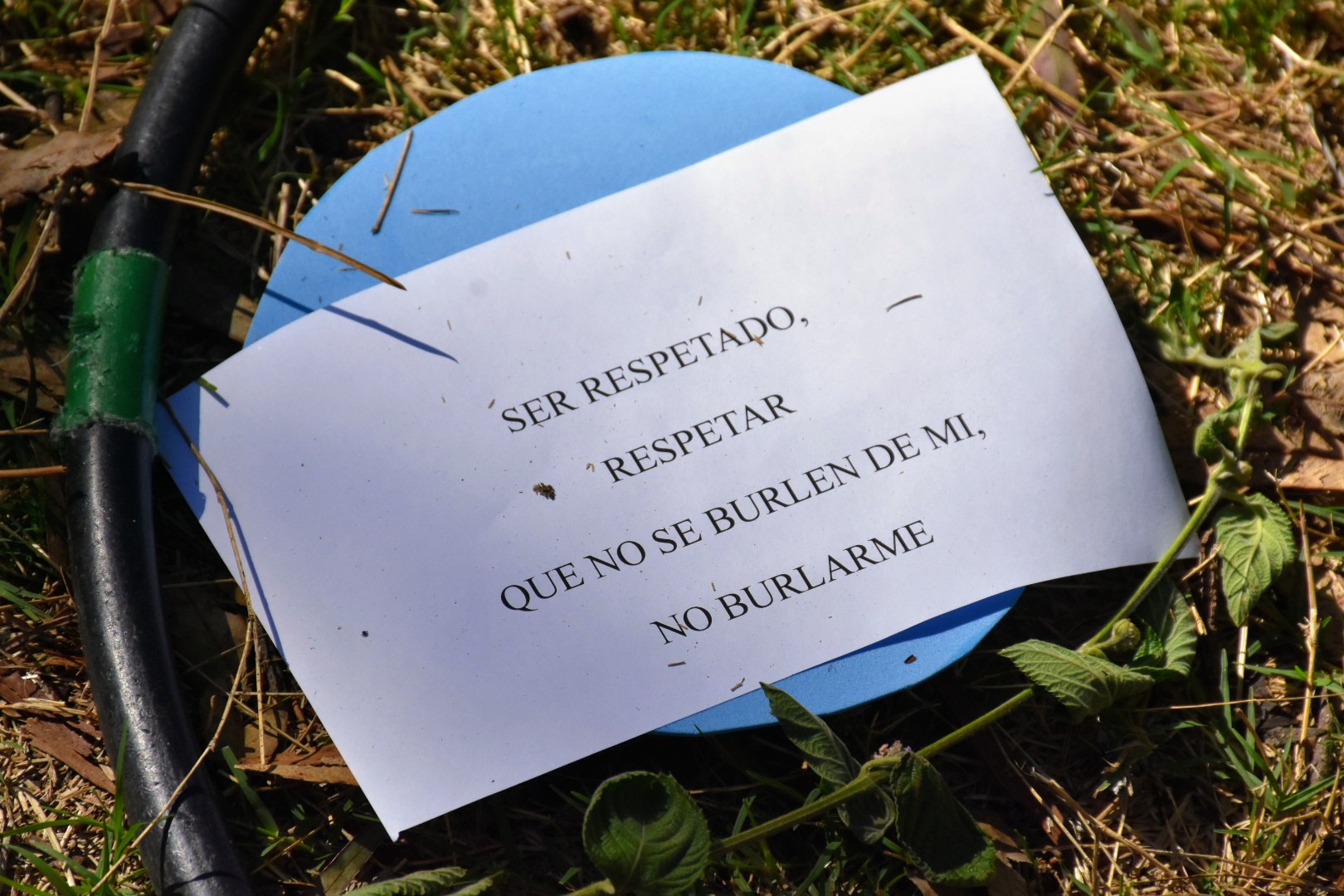 Ponete la camiseta por los Derechos en el Parque Roosevelt Ponete la camiseta por los Derechos en el Parque Roosevelt