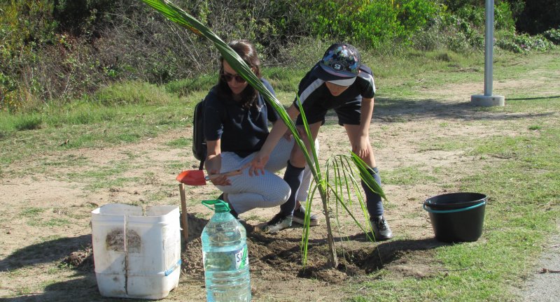 Proyecto Canelón: se plantaron 35 palmeras Pindó en el predio del Instituto de Educación Santa Elena en Lagomar