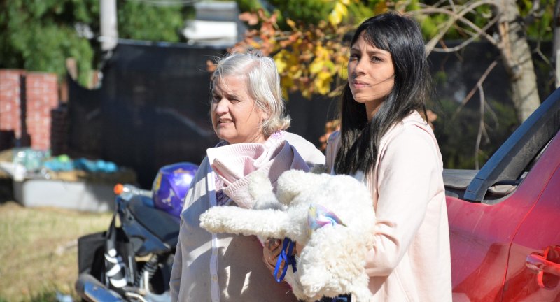 Comenzaron las jornadas de castraciones gratuitas de perros y perras en Progreso Comenzaron las jornadas de castraciones gratuitas de perros y perras en Progreso