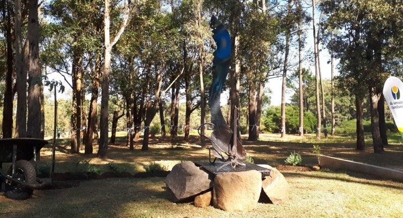 Se realizó en el Parque Roosevelt una jornada de reflexión y recuerdo en homenaje a las víctimas de la COVID-19