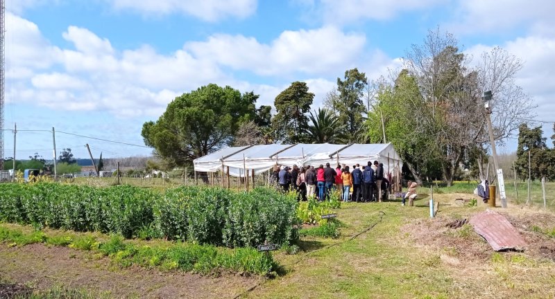 Huerta comunitaria en San Ramón: un proyecto en crecimiento Huerta comunitaria en San Ramón: un proyecto en crecimiento