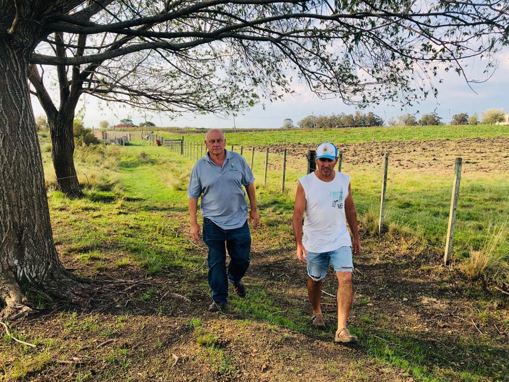 Proyecto de difusión del uso de pasturas permanentes en predios ganaderos familiares Proyecto de difusión del uso de pasturas permanentes en predios ganaderos familiares