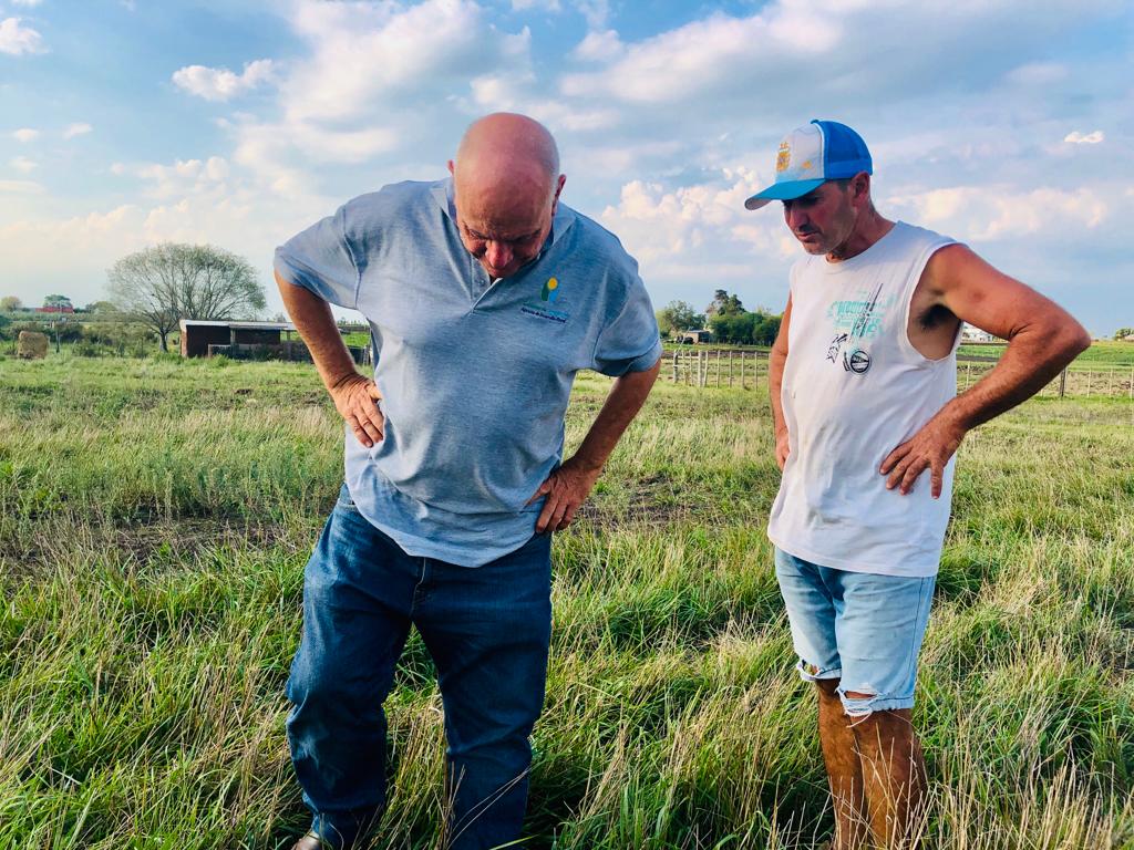Proyecto de difusión del uso de pasturas permanentes en predios ganaderos familiares Proyecto de difusión del uso de pasturas permanentes en predios ganaderos familiares