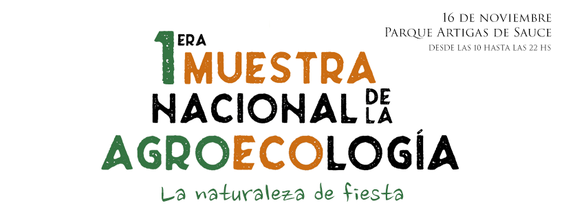 Texto descriptivo de la imagen