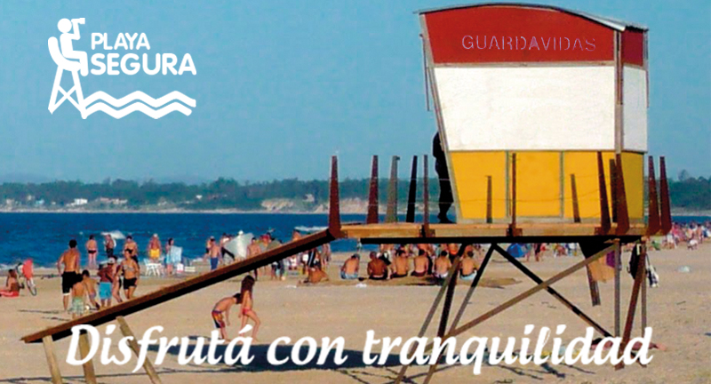 Texto descriptivo de la imagen