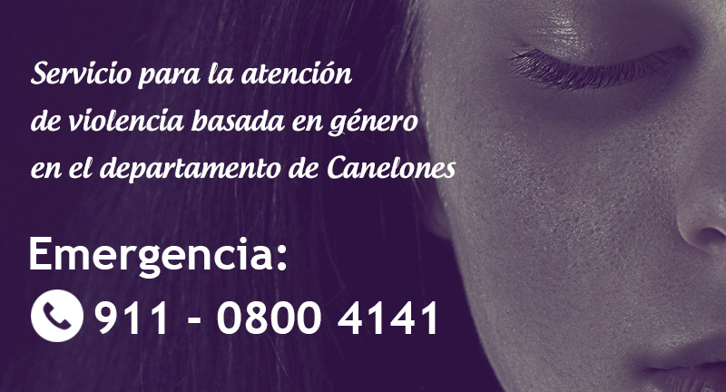 Texto descriptivo de la imagen