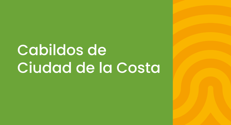 Texto descriptivo de la imagen