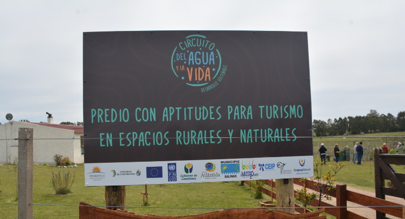 Texto descriptivo de la imagen